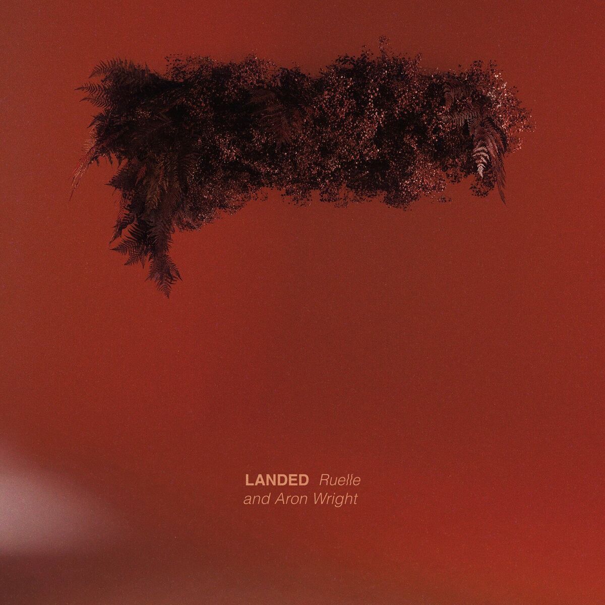 Album cover of Landed