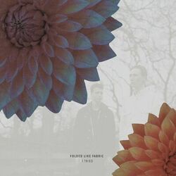 Cover of I Tried