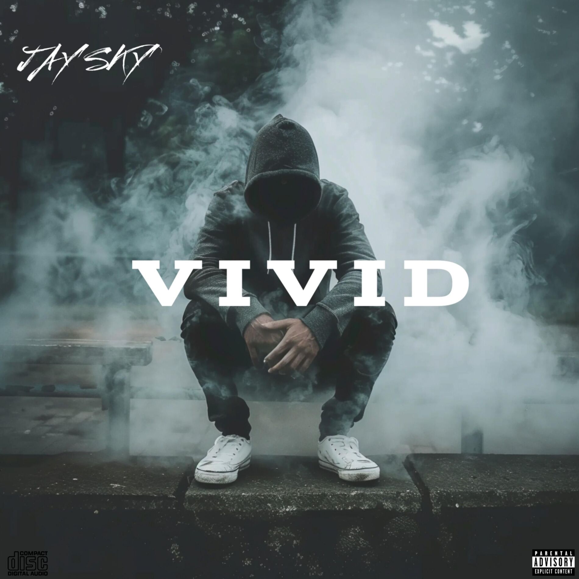 Album cover of VIVID (feat. Fatman Scoop)