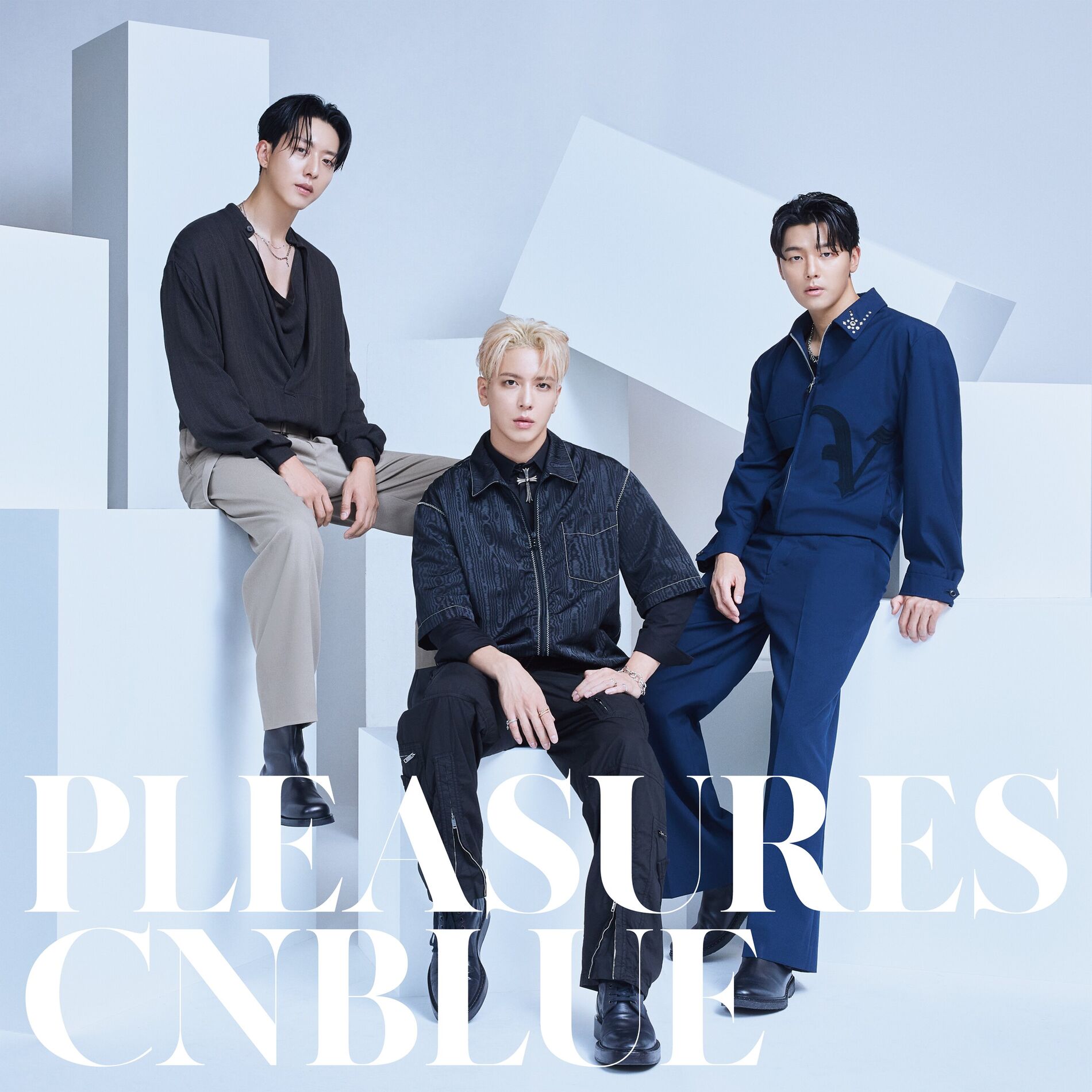 Album cover of PLEASURES