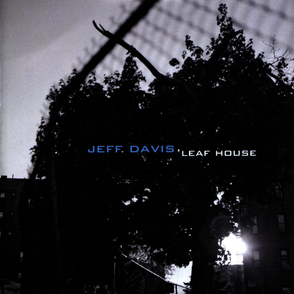 Picture of Leaf House