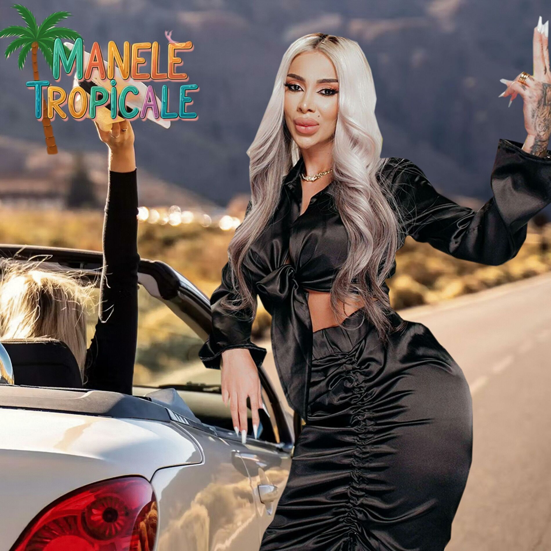 Album cover of Rupe Rupe Tot, Decapotabila Cristina (feat. Tzanca Uraganu)