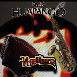 Cover of Puro Huapango