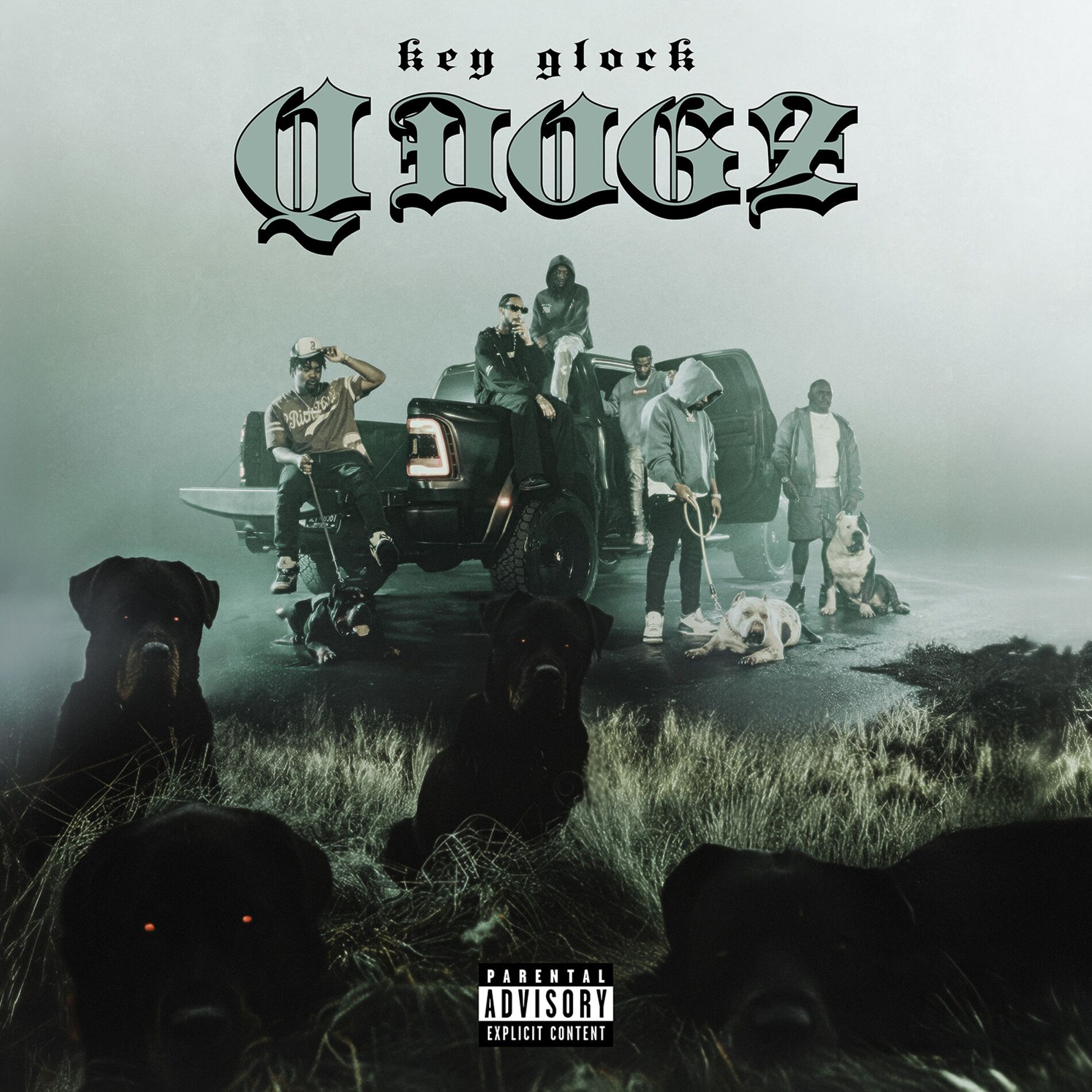 Album picture of Q-Dogz