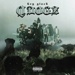 Cover of Q-Dogz