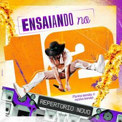 Cover of Ensaiando no 12