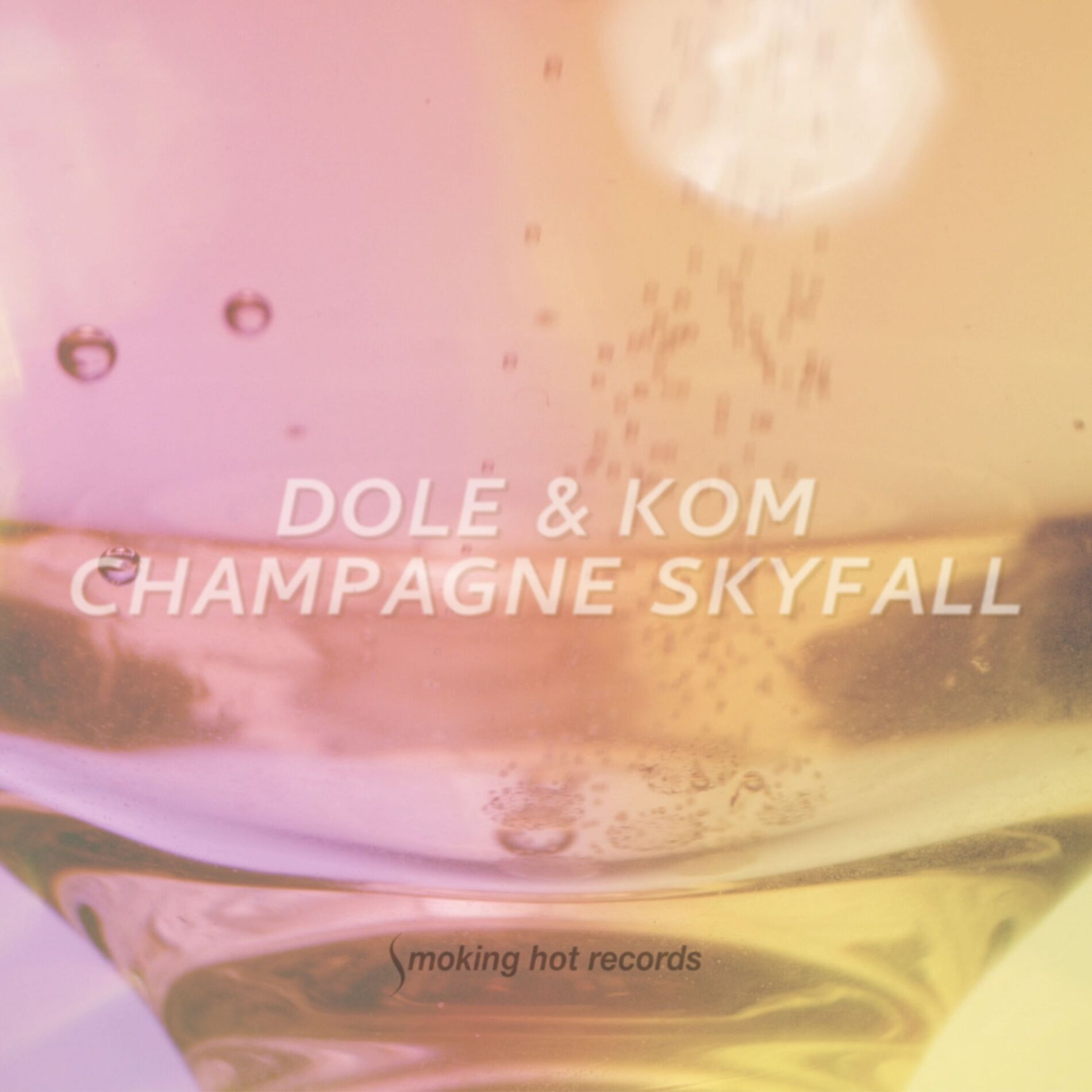 Album cover of Champagne Skyfall (Radio-Edit)