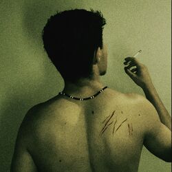 Cover of Morena