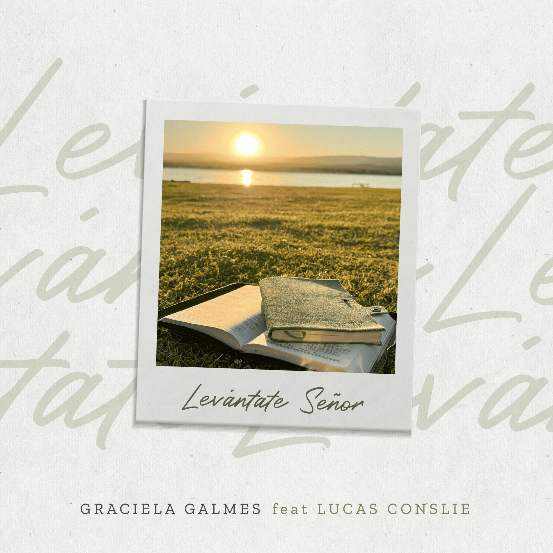 Album cover of Levántate Señor