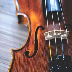 Cover of Orchestra