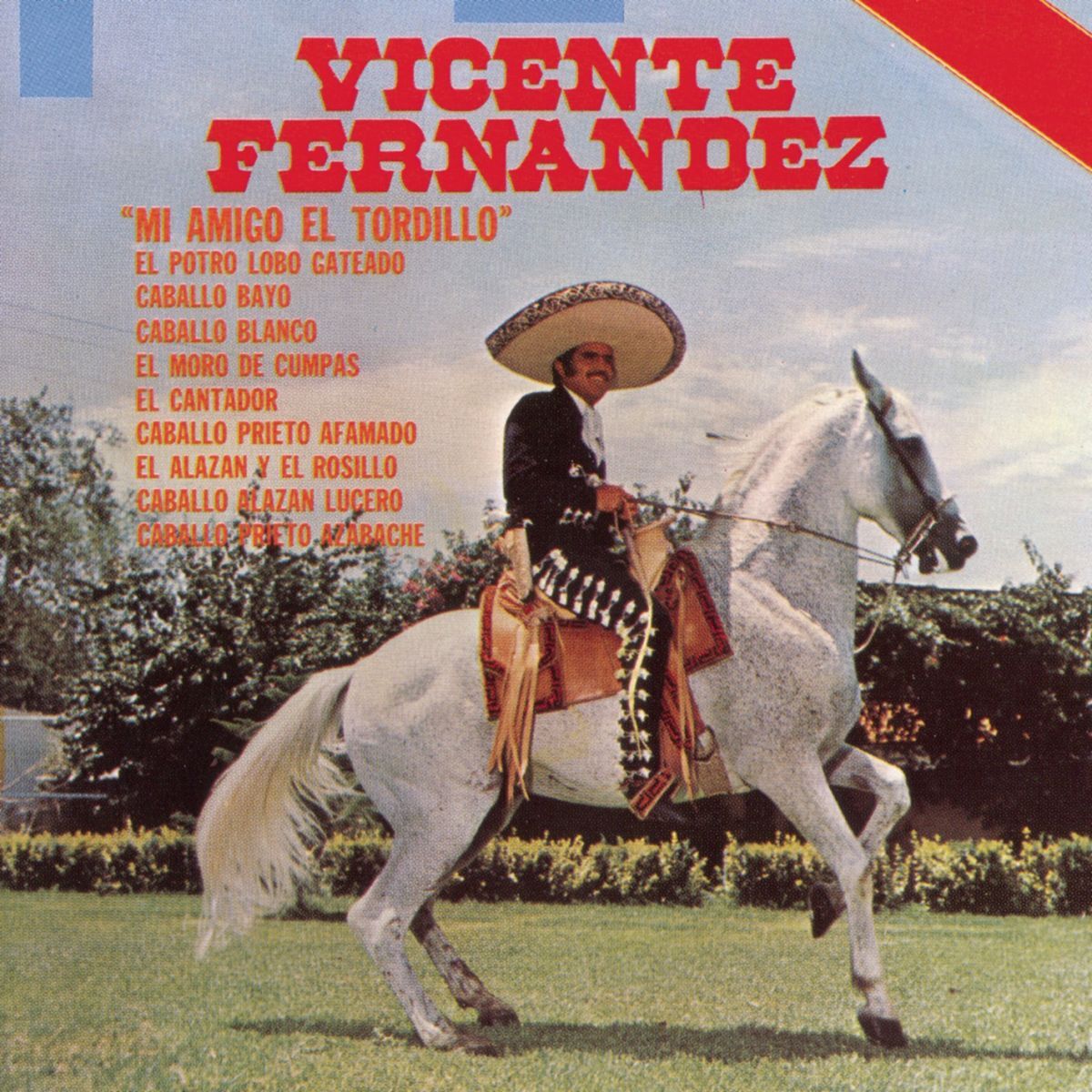 Album cover of Mi Amigo el Tordillo