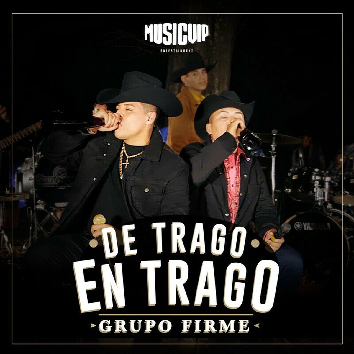 Album picture of De Trago En Trago