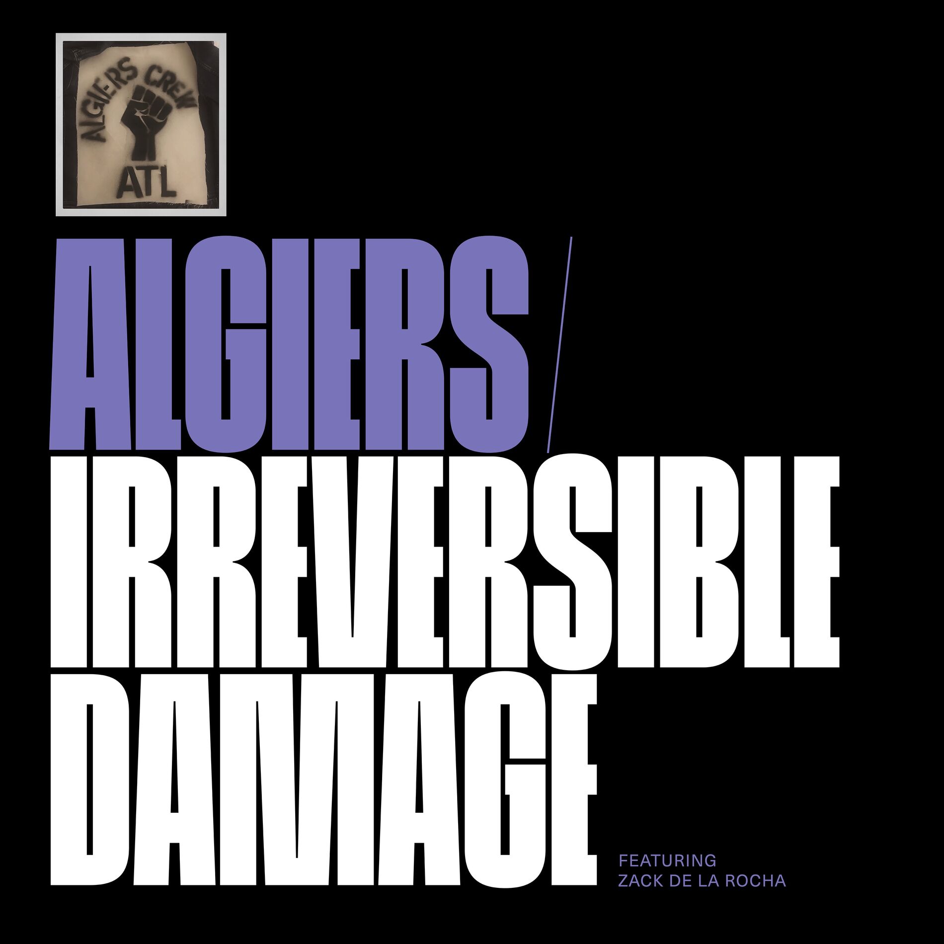 Album cover of Irreversible Damage
