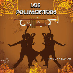 Cover of No Voy a Llorar