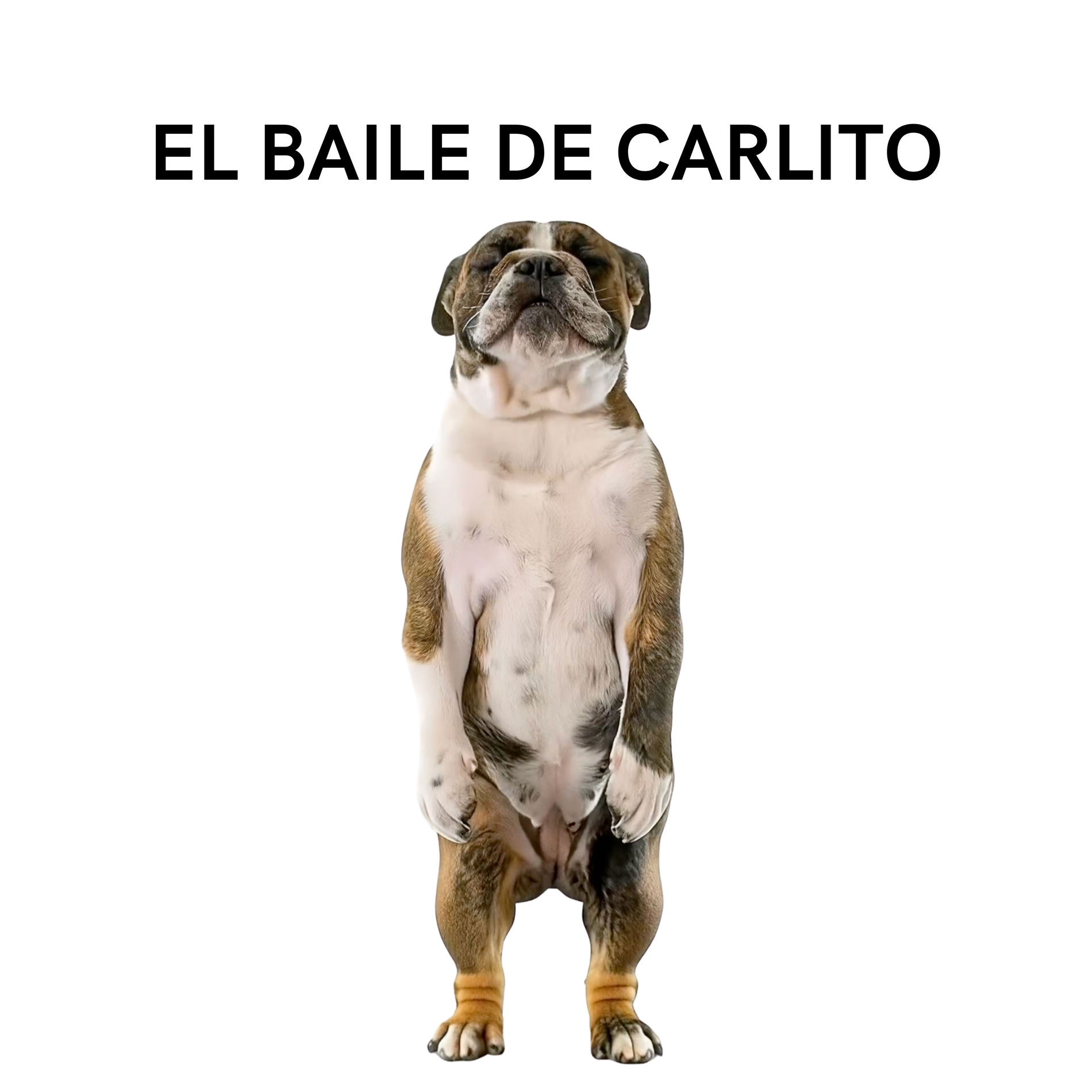 Album cover of El Baile de Carlito