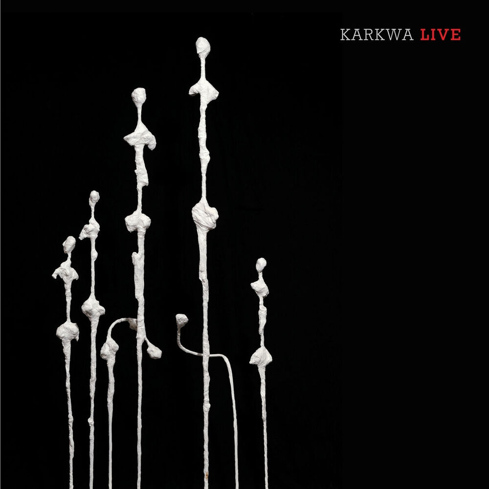 Picture of Karkwa Live