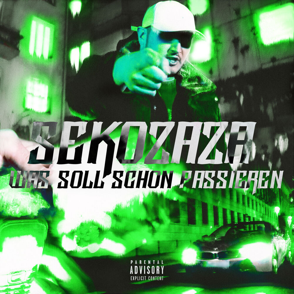 Picture of WAS SOLL SCHON PASSIEREN