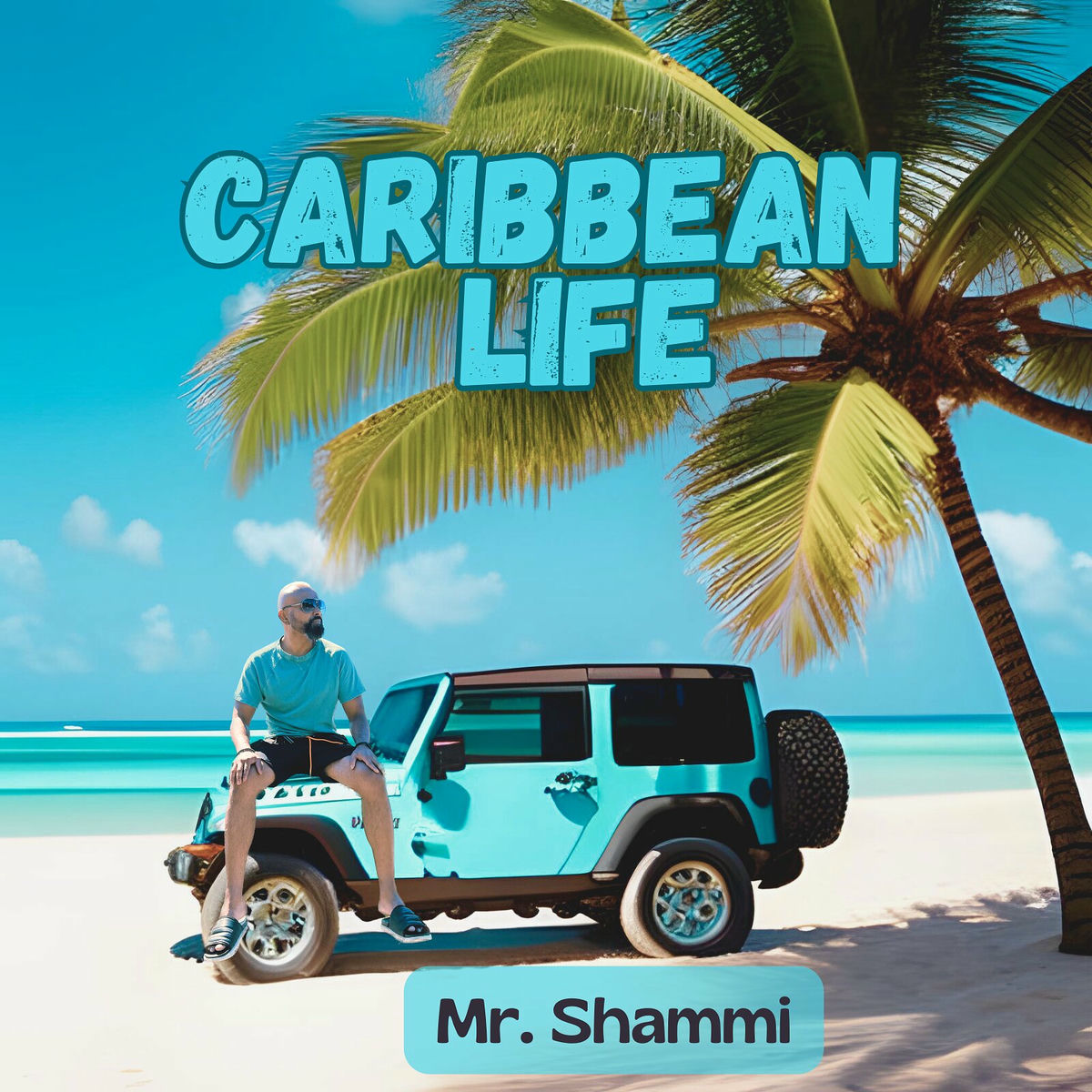 Album cover of Caribbean Life