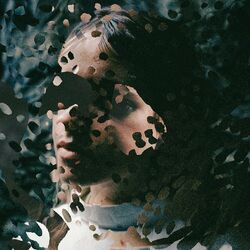 Cover of Something Like This