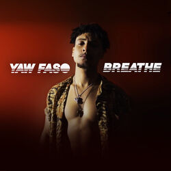 Cover of Breathe