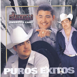 Cover of Puros Exitos