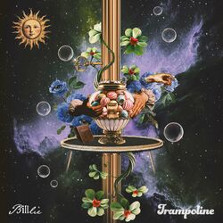 Cover of trampoline