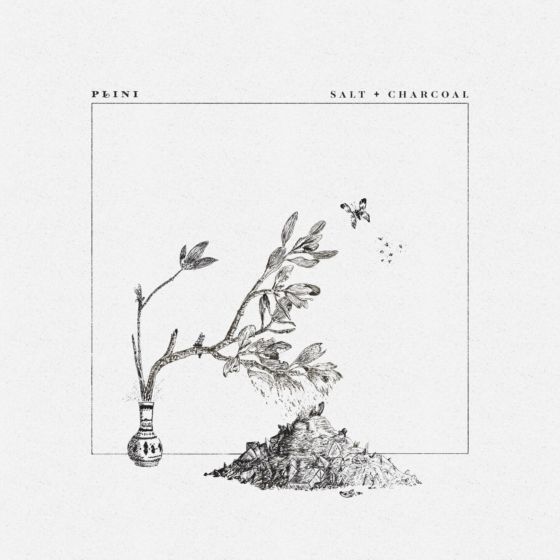 Album cover of Salt + Charcoal