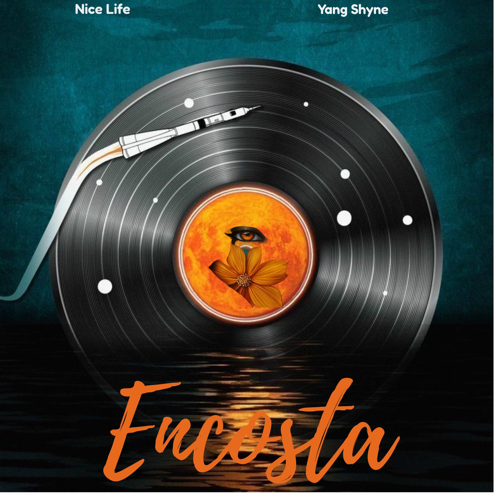 Album cover of Encosta