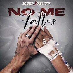 Cover of No Me Faltes