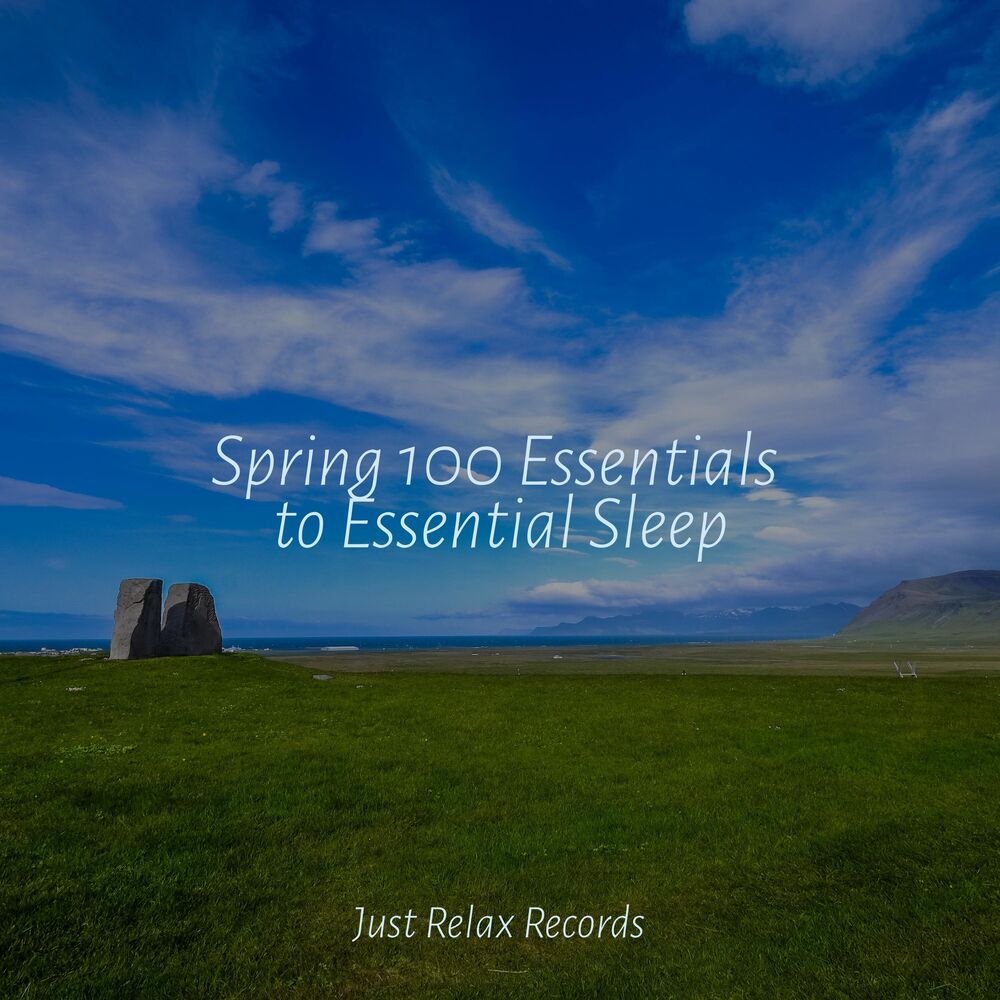 Picture of Spring 100 Essentials to Essential Sleep