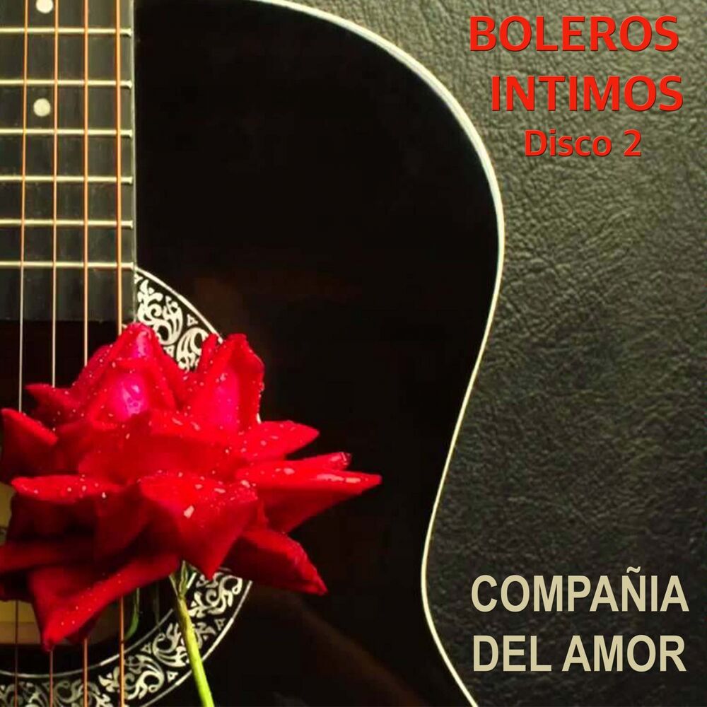 Picture of Boleros Intimos Disco 2