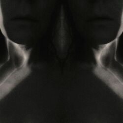 Cover of from when i wake the want is