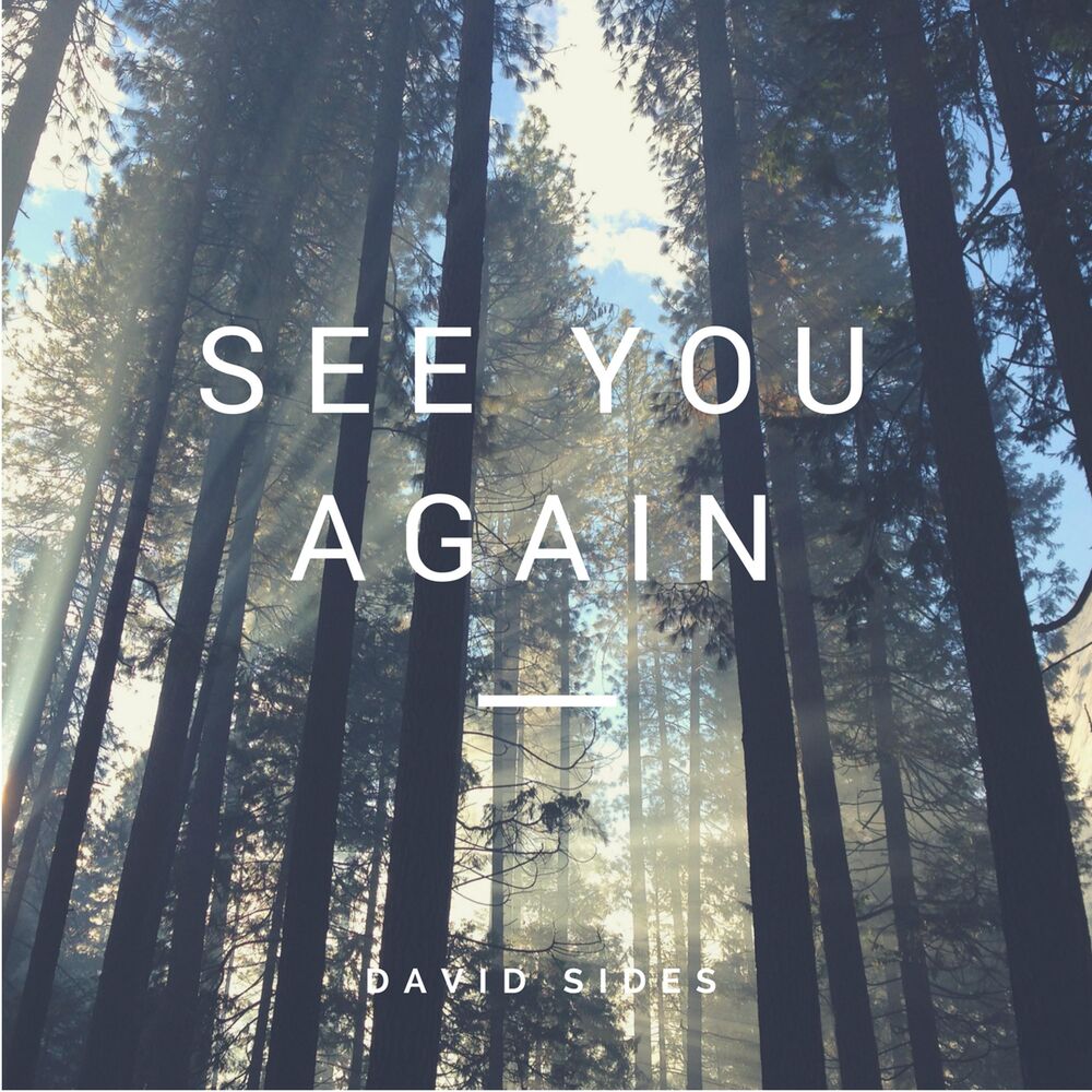 Picture of See You Again