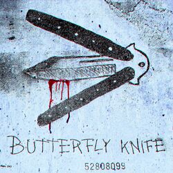 Cover of BUTTERFLY KNIFE