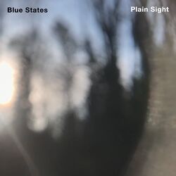 Cover of Plain Sight