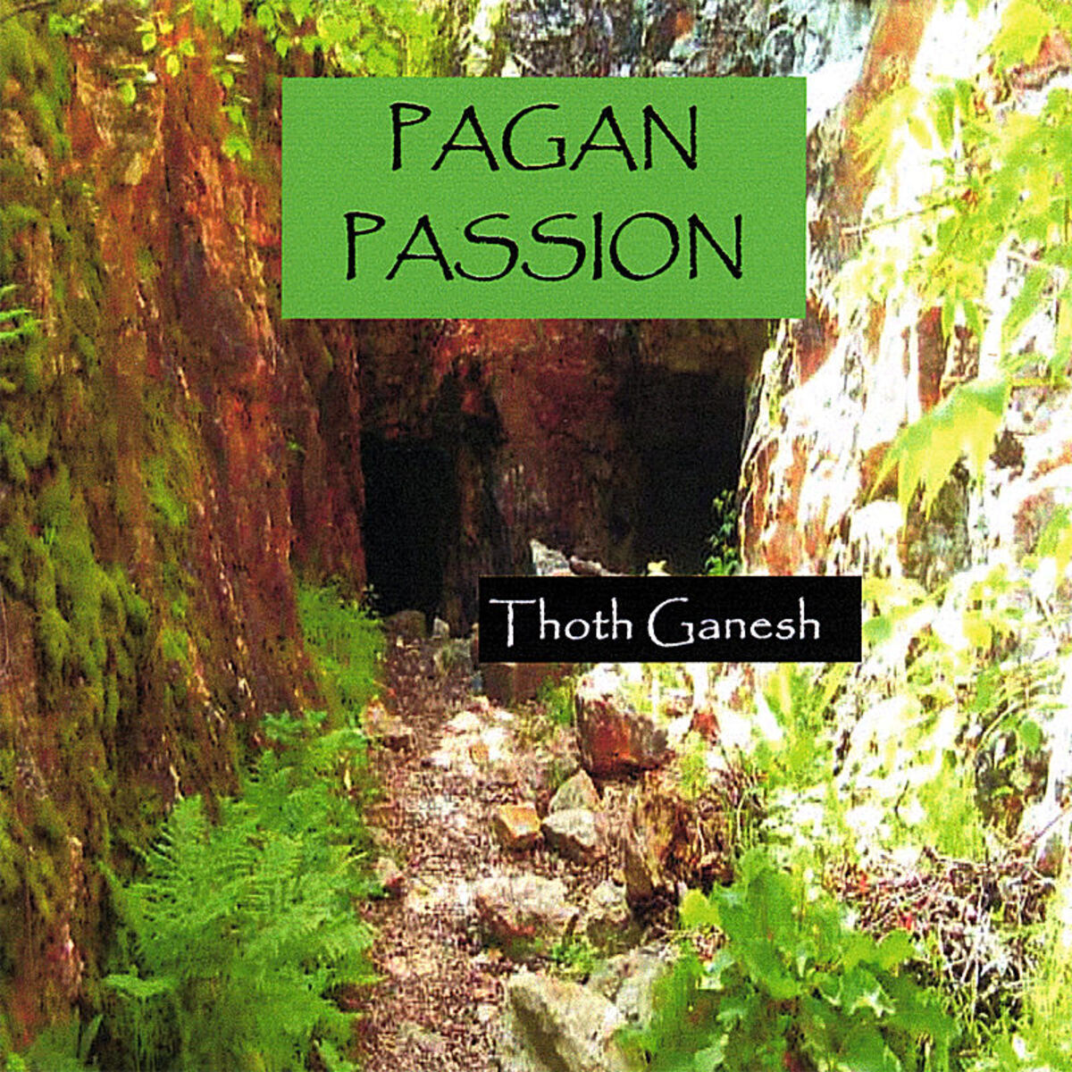 Album cover of Pagan Passion