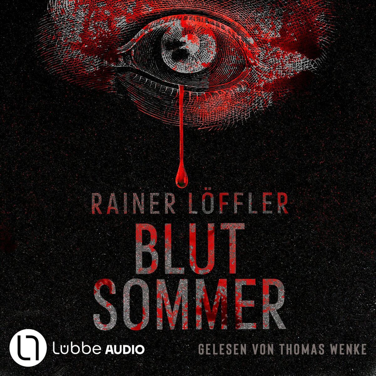 Album cover of Blutsommer - Martin Abel, Band 1