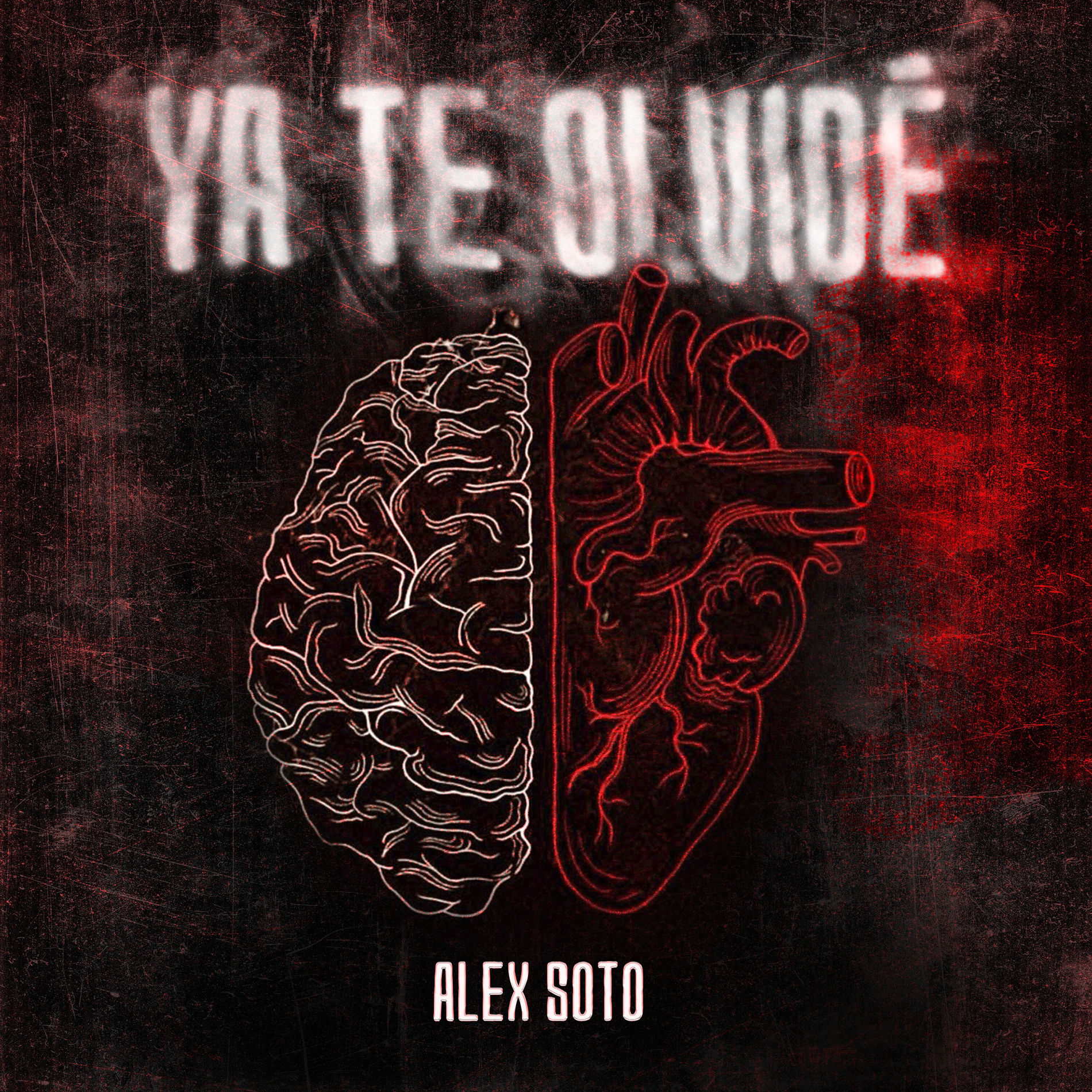 Album cover of Ya te olvide
