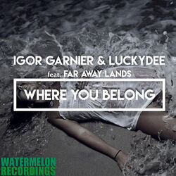 Cover of Where You Belong