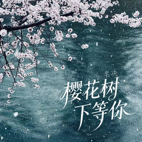 樱花树下等你