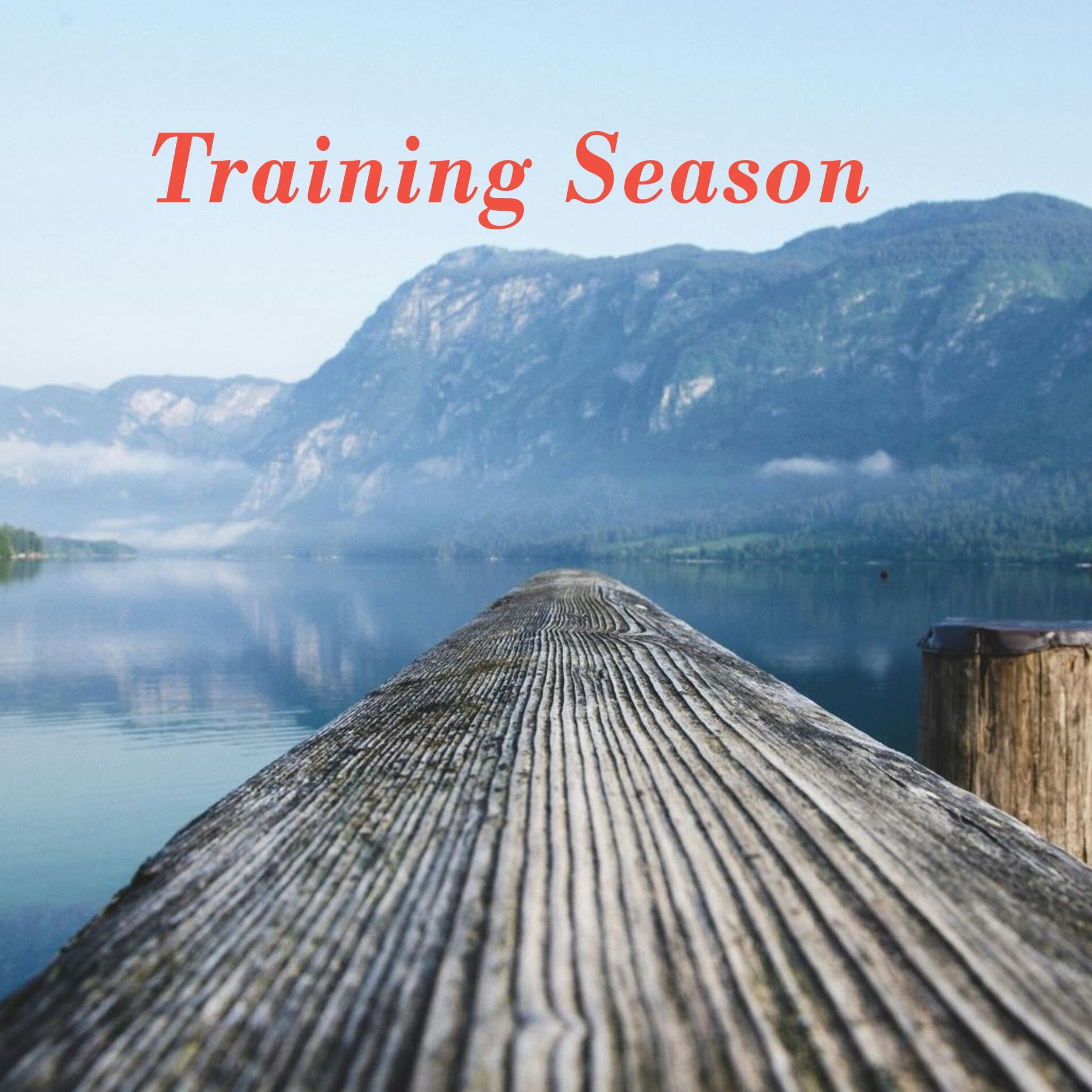 Album cover of Training Season