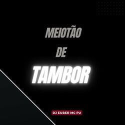 Cover of Só Meiotão de Tambor