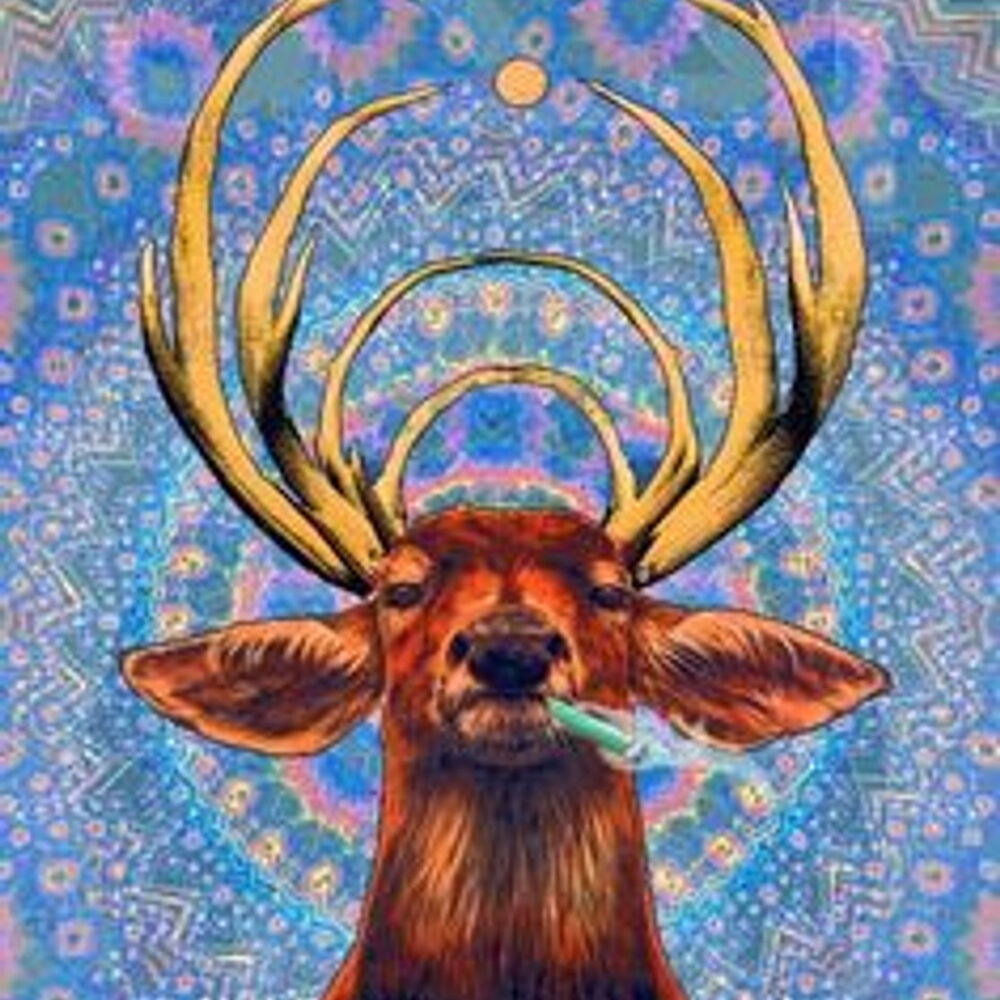 Picture of Buckin You Down