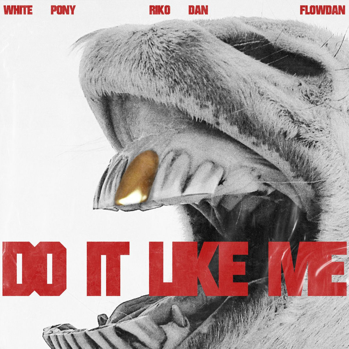 Album cover of Do It Like Me