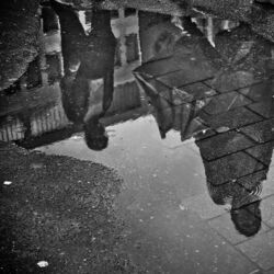 Cover of Dark Reflections
