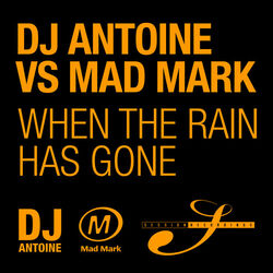 Cover of When the Rain Has Gone