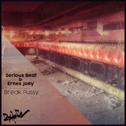 Cover of Break Pussy