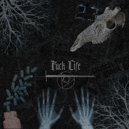 Dameth - FUCK LIFE | Deezer