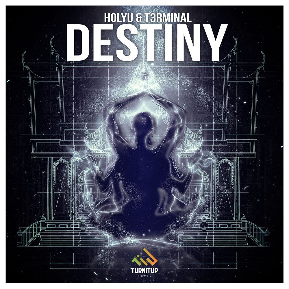 Picture of Destiny (Radio Edit)