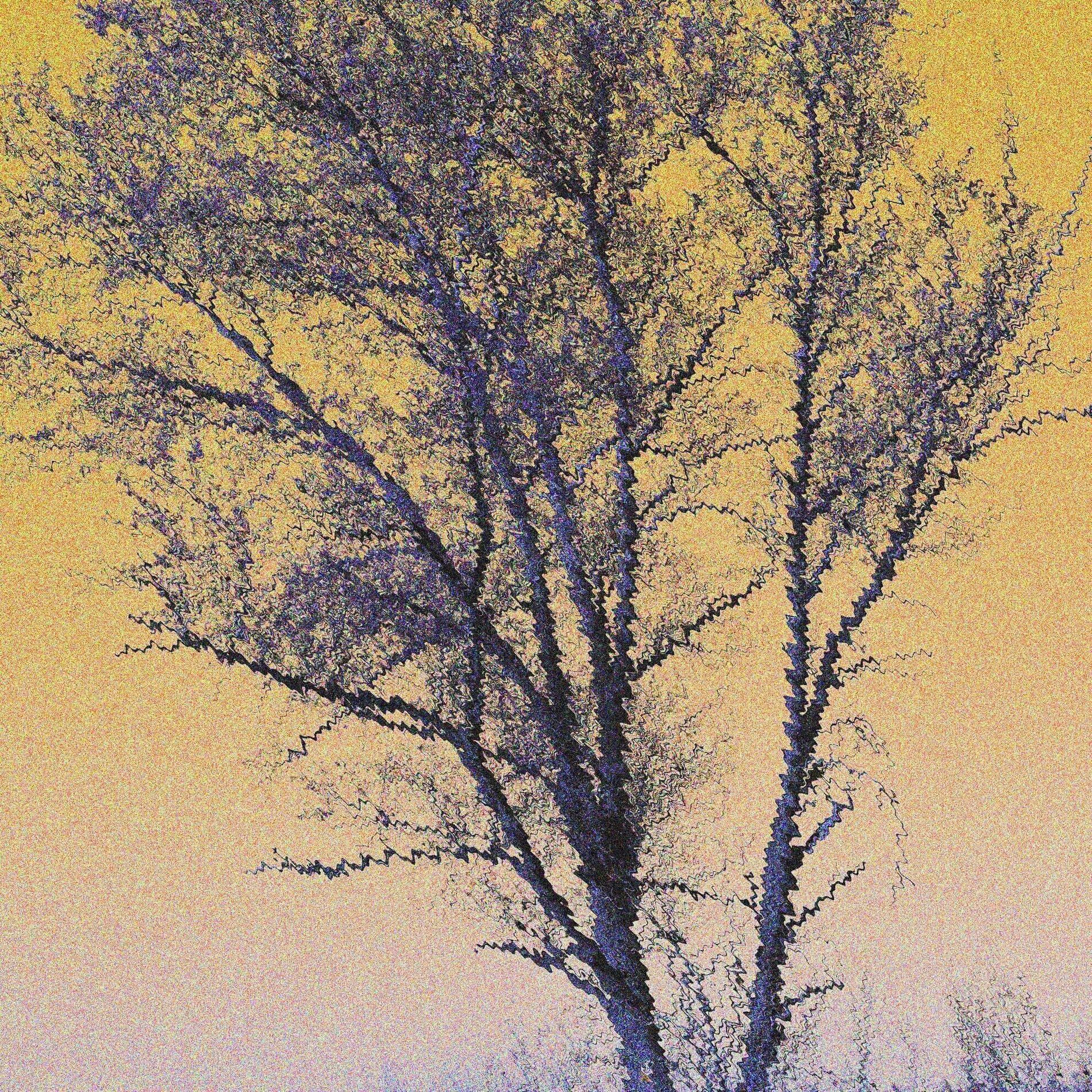 Album cover of DUSK to DAWN